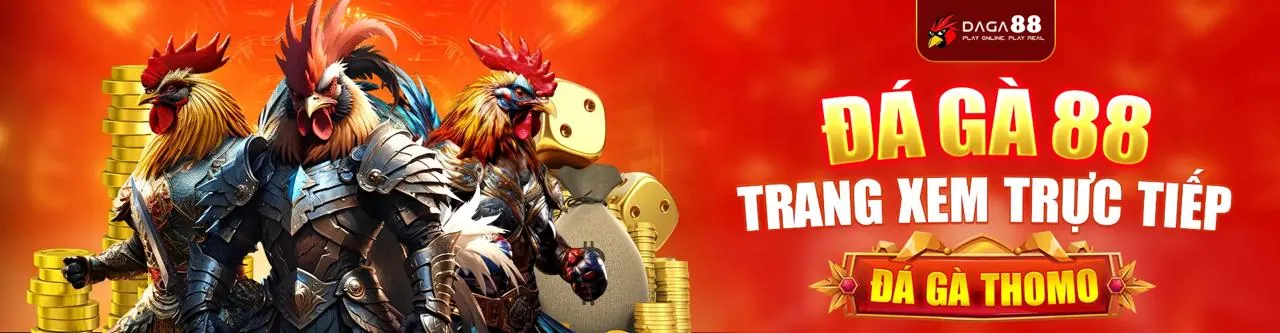 Hình ảnh tổng quan về cá cược thể thao an toàn tại wim23 win